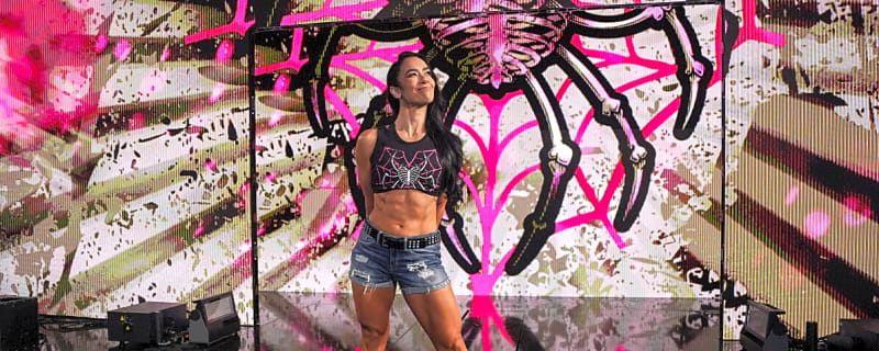 AJ Lee, Stephanie McMahon Address Explosive 2015 Tweets