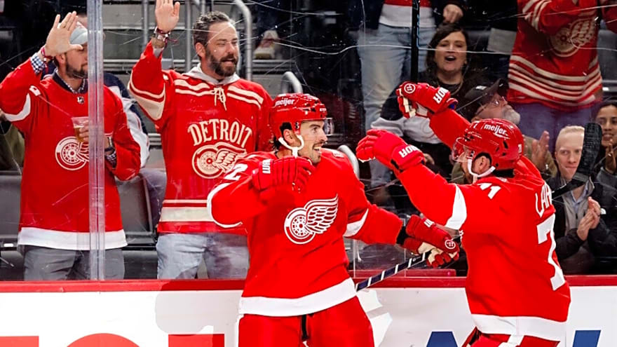 It’s Time for the Detroit Red Wings to Add Some NHL-Calibre Players
