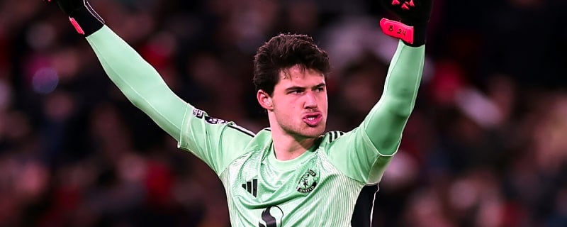 'He looks like…' – Rio Ferdinand makes big prediction about recent Man United signing