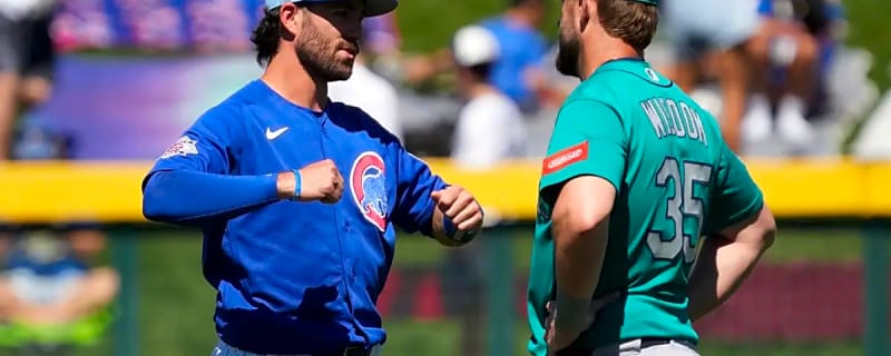 Cubs’ record holder sees MLB comeback stopped by injury