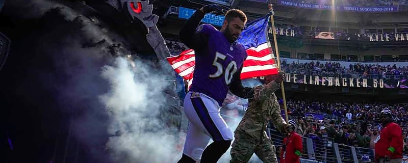 Vikings fans respond in full force to Kyle Van Noy’s simple request