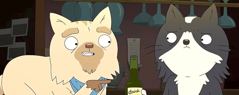 'Kevin' trailer forces a cat to start over after his humans break up