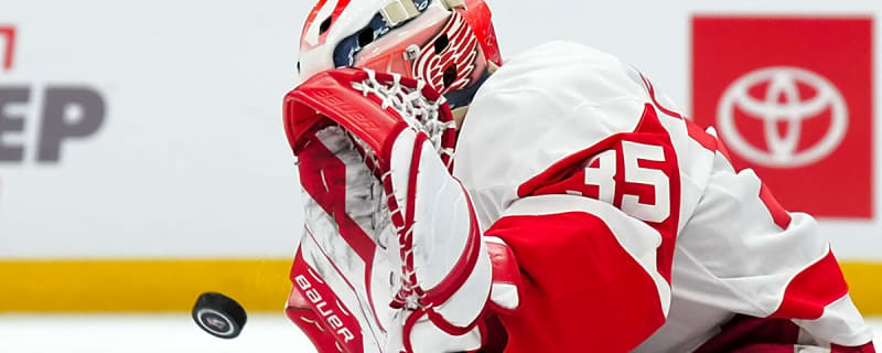 Red Wings bringing intriguing goalie up from AHL Grand Rapids