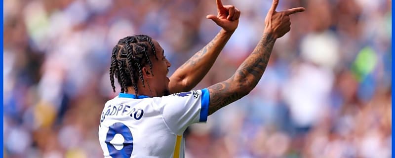 Joao Pedro’s calculated characteristics show surprise strength that Chelsea fans will love