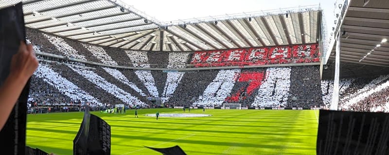 Newcastle vs. West Brom Lineups, Live Streaming, How & Where to Watch Carabao Cup