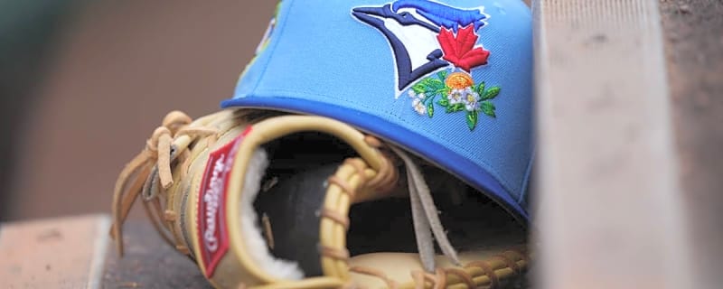 Blue Jays Make Weather Announcement Before White Sox Game