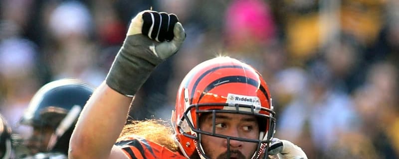 Steelers' Domata Peko Hire Already Sparking Changes on the Defensive Line