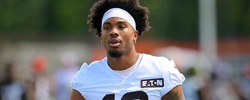Panthers Urged to Target Receiver Recently Cut By Browns