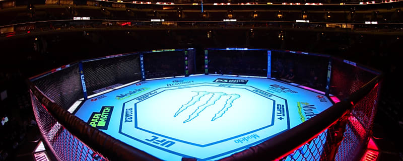 Former UFC Heavyweight Champion Scores Brutal Knockout in Boxing Debut