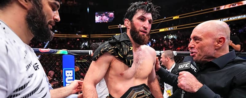 UFC Fight Night: Ankalaev vs. Guskov Preview & Storylines
