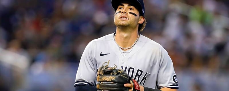 Alix Earle's Ex-Boyfriend, Tyler Wade, Announces MLB Retirement