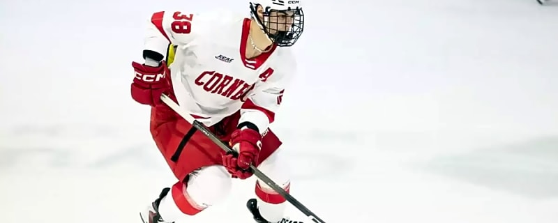 Flames Look to Boost Stale Offence by Calling Up Castagna & Suniev