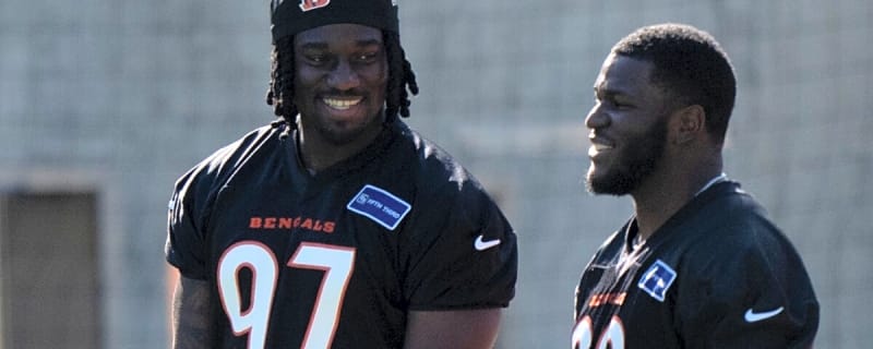 Bengals 2025 Roster Breakdown: Dante Barnett&#39;s unorthodox football journey lands him in Cincinnati