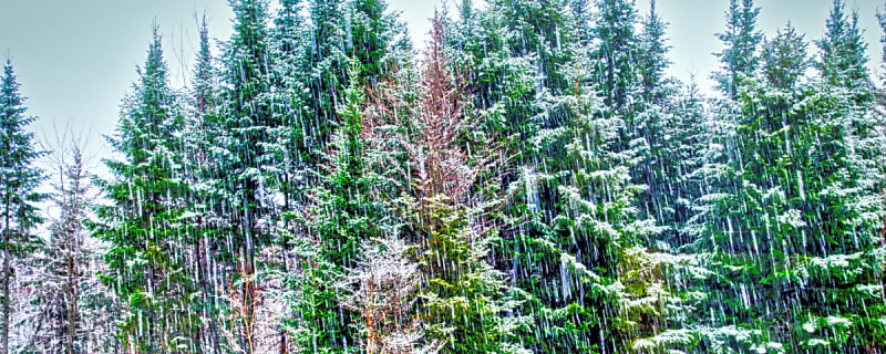 Meteorologist Reveals Dramatic Snowfall Gap Between Vermont and Colorado