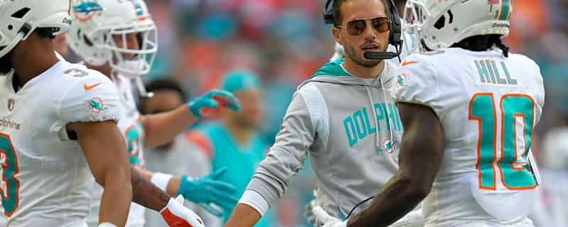Dolphins Running Back Named Team&#39;s Most Promising Building Block