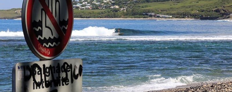 What's the Shark Attack Risk For Reunion Island in 2026?