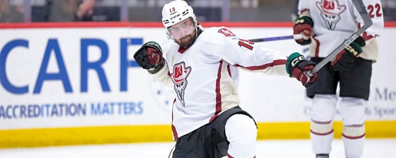 Utah Mammoth’s 2024-25 Report Cards: Egor Sokolov