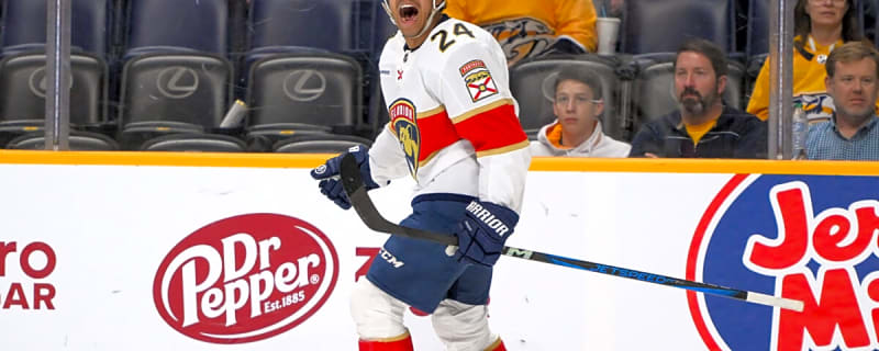 Capitals’ Justin Sourdif Is Making a Case to an NHL Roster Spot