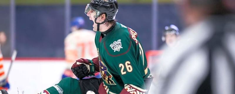 Roadrunners Report: Injuries Calls for Reinforcements, Simashev Gaining AHL Recognition, & More