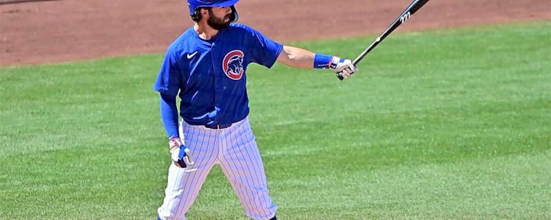 Dansby Swanson reacts to Cubs offseason after Alex Bregman signing