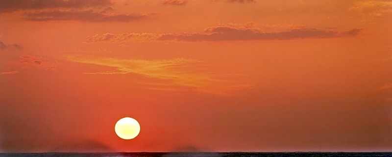 Looking for December Waves? Start With These 5 Picks