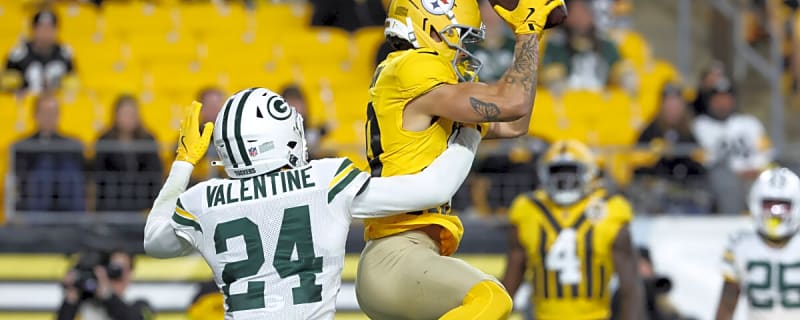 Steelers wide receiver receives a blessing in disguise after NFL decides to suspend DK Metcalf for remainder of 2025 season