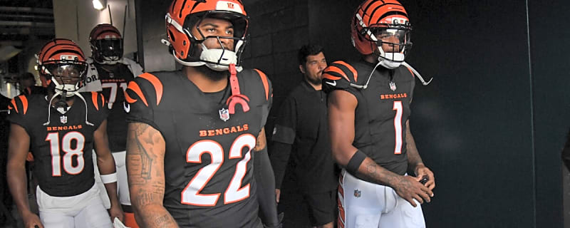 Bengals 2025 Roster Breakdown: Geno Stone can control where his career goes from here