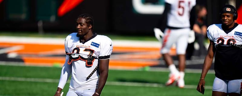Bengals player sends fans a message after Cincinnati suffers impactful loss in free agency