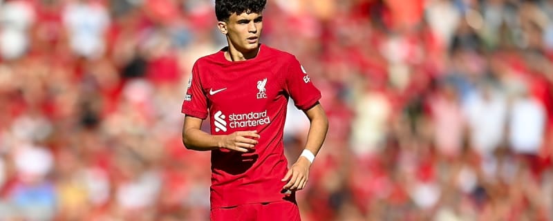 'Not training with the team': Arne Slot drops grim update on Liverpool midfielder