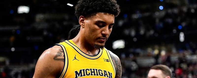 Michigan’s Yaxel Lendeborg Announces Career News Amid NCAA Tournament