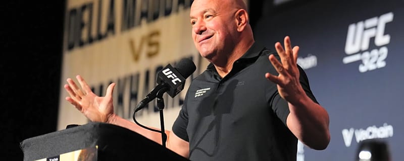 UFC Cuts Javid Basharat Despite His Winning Record and Winning His Last Fight