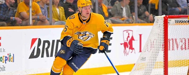 5 Nashville Predators Who Could Be on the Roster Bubble