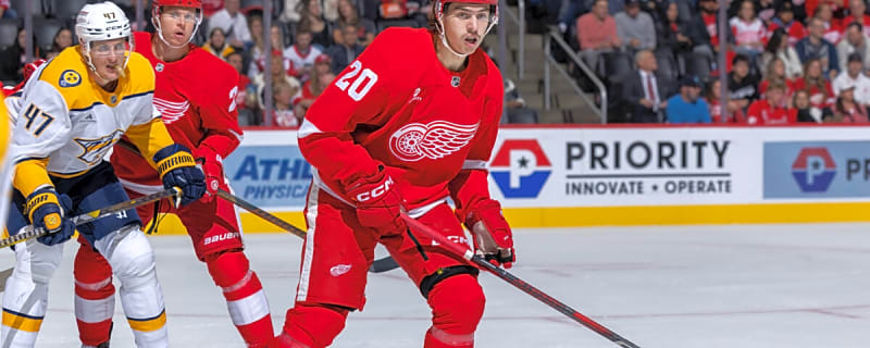 Red Wings 2025-26 Season Preview: Defense