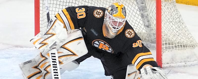 Bruins Impressed With New Goalie Prospect Zajicek