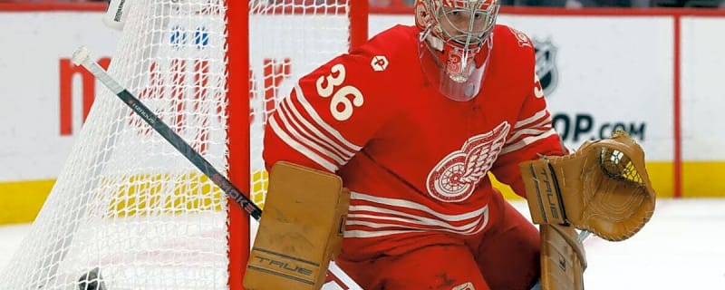 Analyzing the Red Wings’ Organizational Depth Heading Into 2026-27