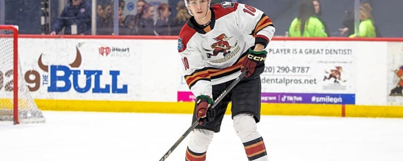 Utah Mammoth’s 2024-25 Report Cards: Maveric Lamoureux