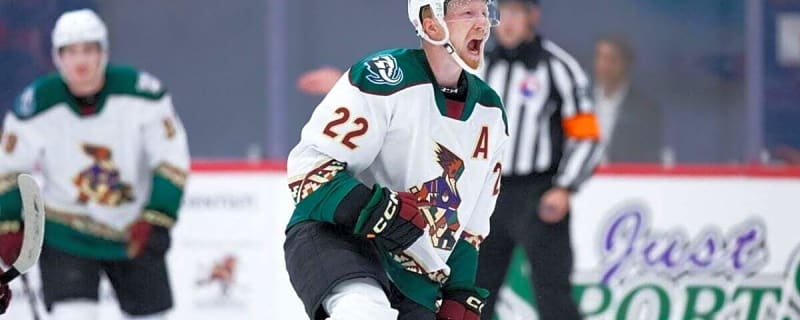Utah Mammoth’s 2025-26 Report Cards: Ben McCartney