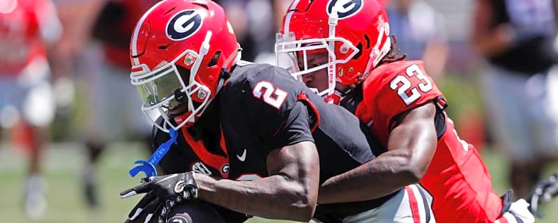 Big Ten Program on Prowl to Poach Georgia Playmaker