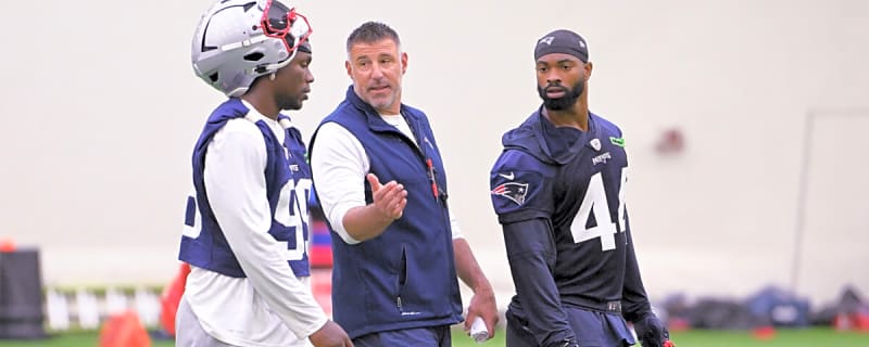 Emerging Patriots Star Picked as Team&#39;s Most Promising Building Block