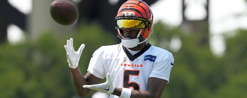 Super Bowl champion compliments Tee Higgins in a way that further validates what the Bengals did this offseason