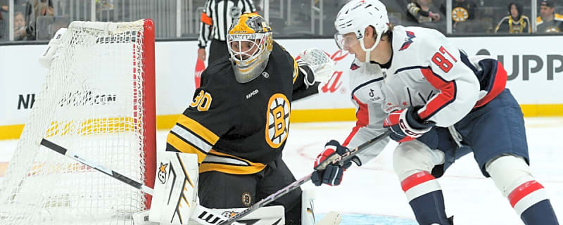 Bruins Have 2 Goalie Prospects to Keep an Eye On