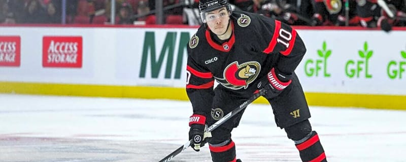 Ottawa Senators Have Their Missing Top-4 Defenceman in Jordan Spence