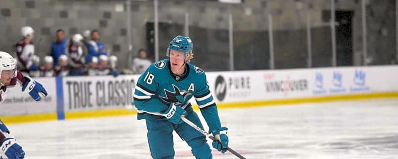 Sharks Prospect Filip Bystedt Entering Make-or-Break Offseason