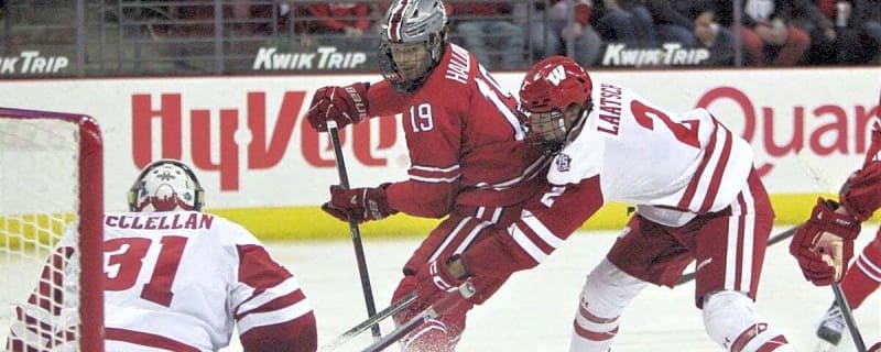 Senators Need to Find a Roster Spot for Stephen Halliday Next Season