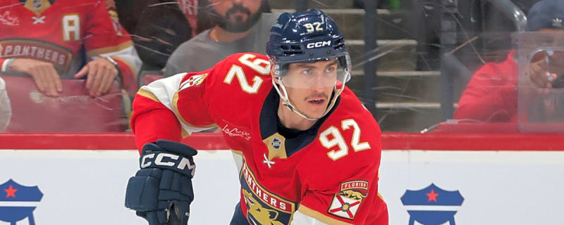 Florida Panthers veteran center undergoes knee surgery