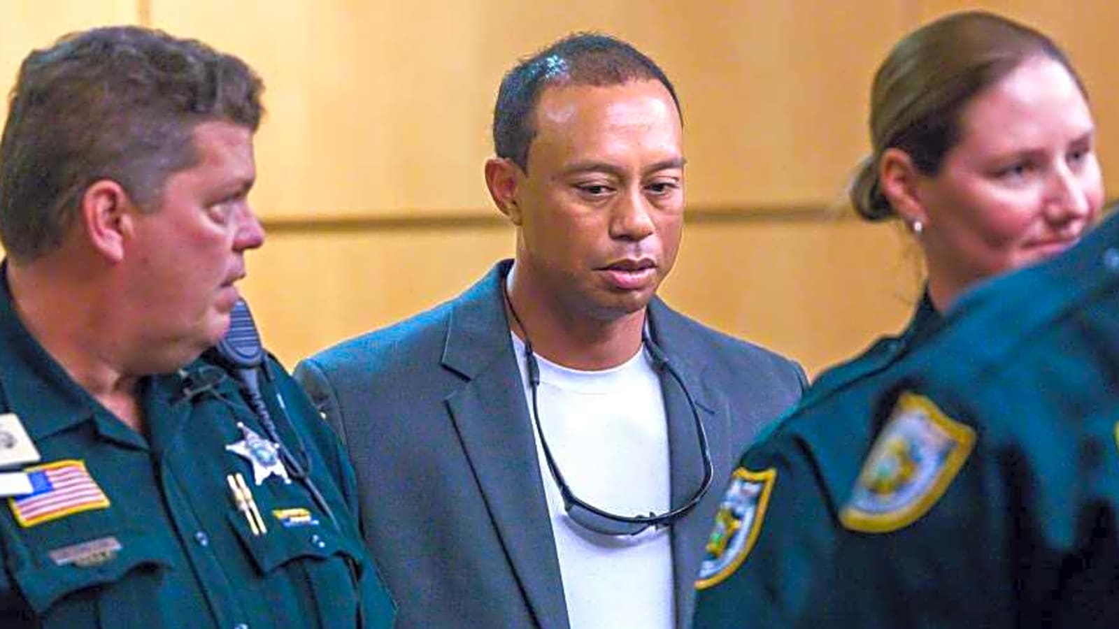 Tiger Woods issues official plea after his DUI arrest