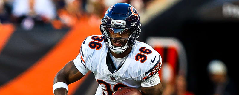 Bears' roster cuts include two preseason stars, local veteran