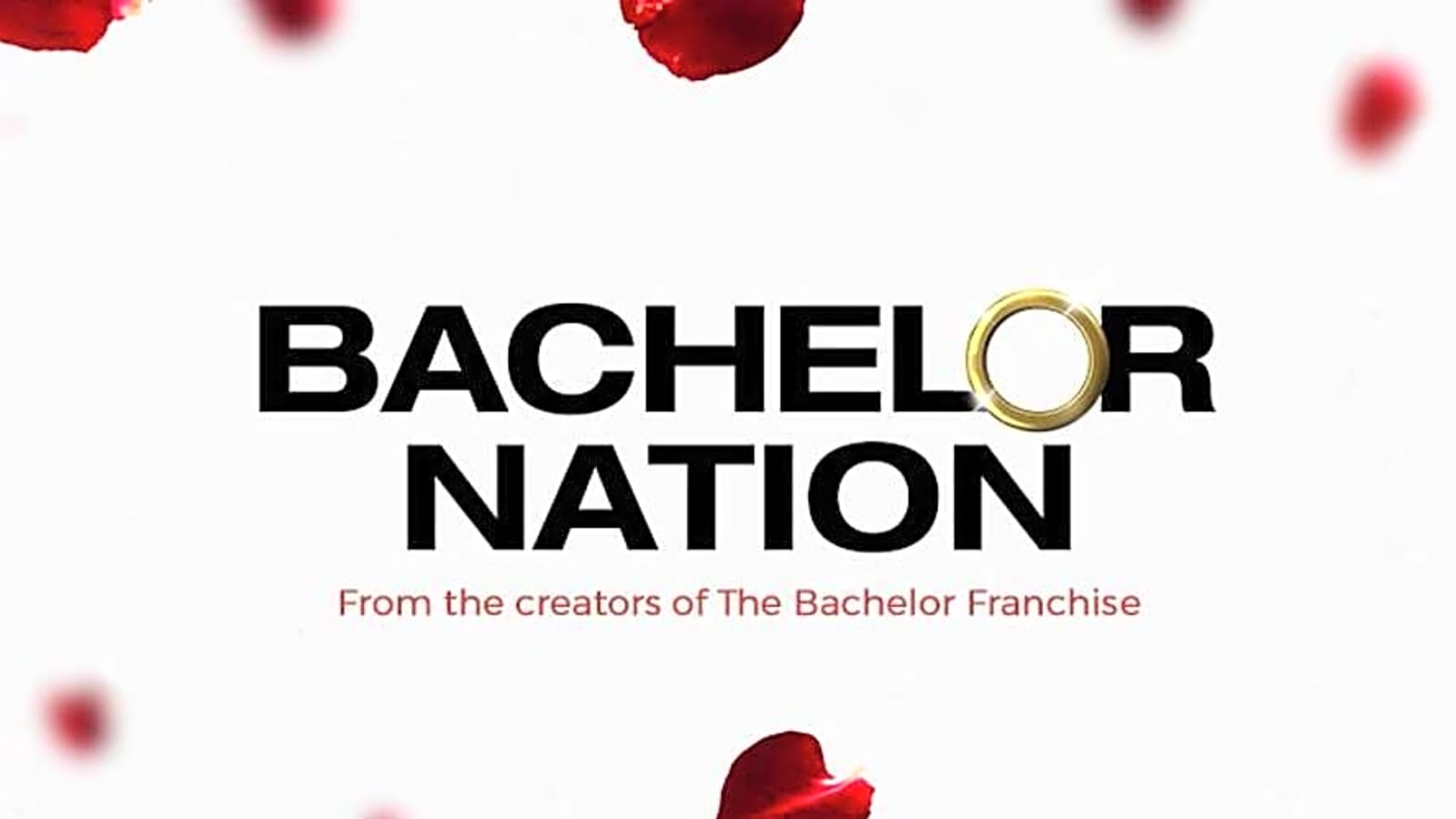Bachelor Nation: Only 24 Couples from Show Still Together as of Mid-2025