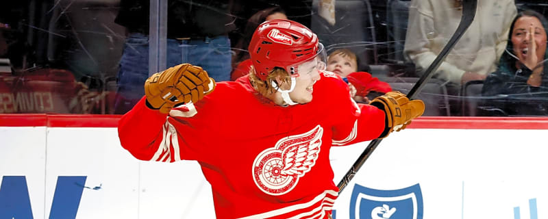 Red Wings' young defensive duo may help team end playoff drought