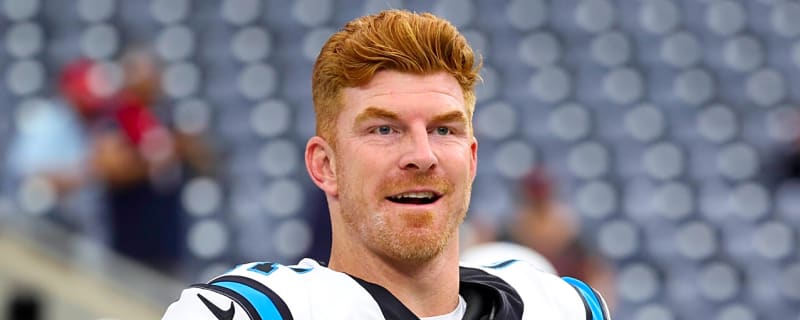 Did Panthers' Dalton want to return to Bengals after Burrow injury?